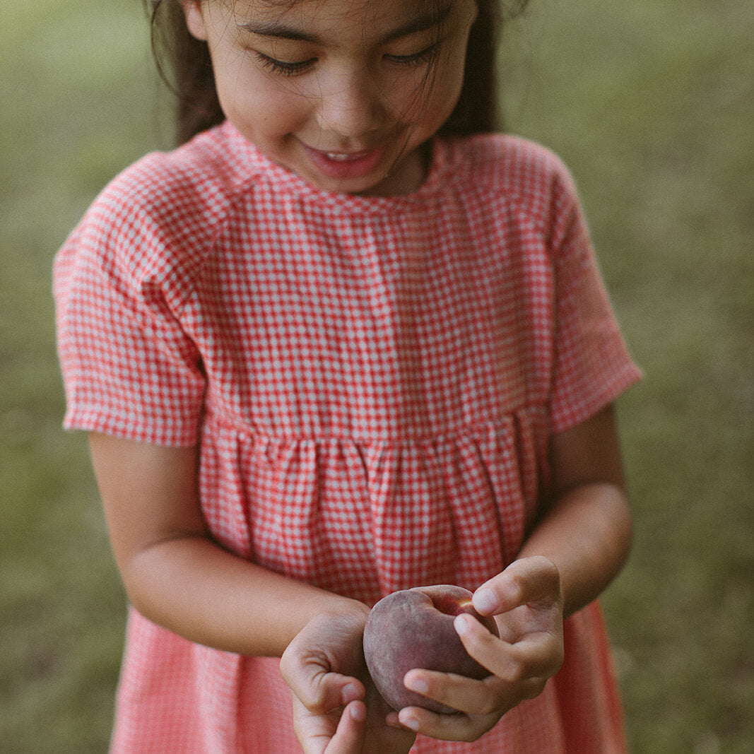 Hopscotch Dress - Strawberry & Oat Mini Check Linen for toddlers and kids/children