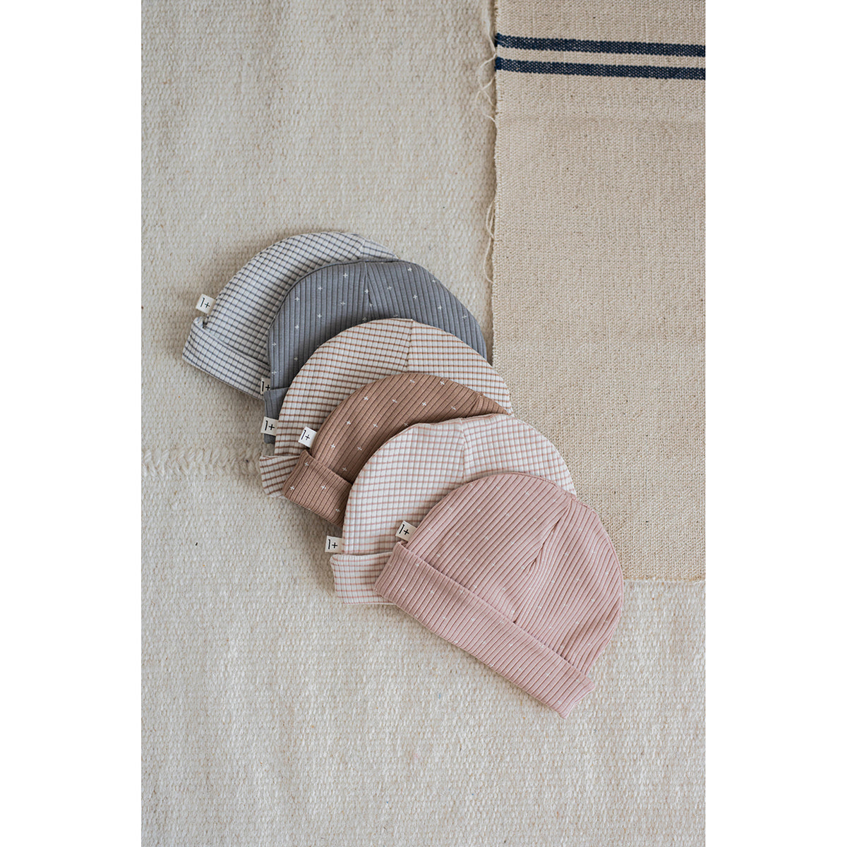 1+ In The Family in the colour Nude-Ivory