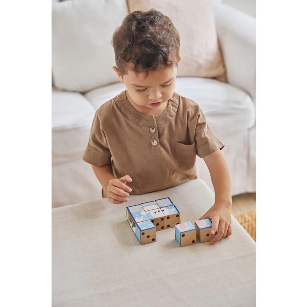 Plan Toys Puzzle Cube Game ss24