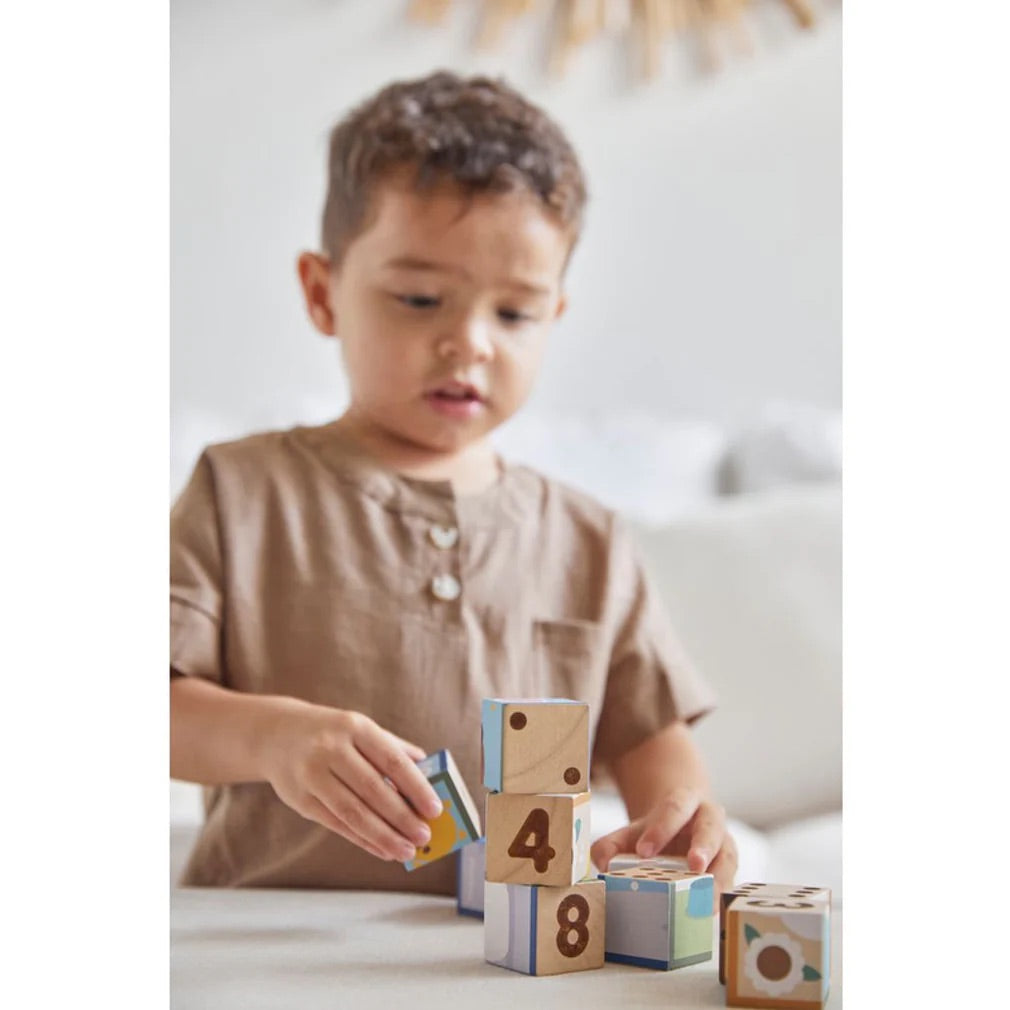 Plan Toys Puzzle Cube Game