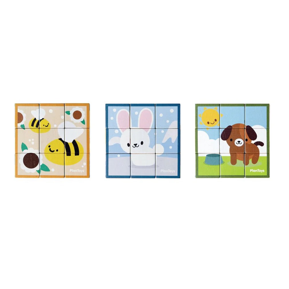 Plan Toys Puzzle Cube Game