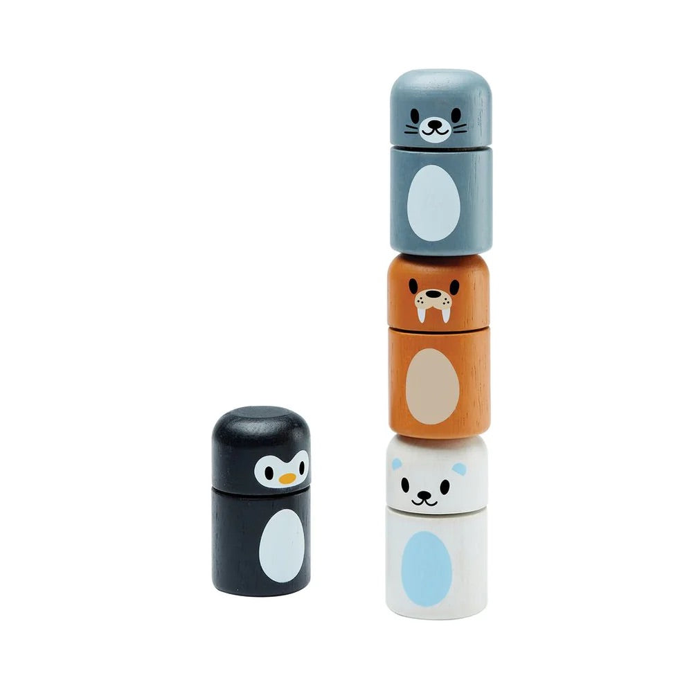 Plan Toys wooden Animal Arctic Matching