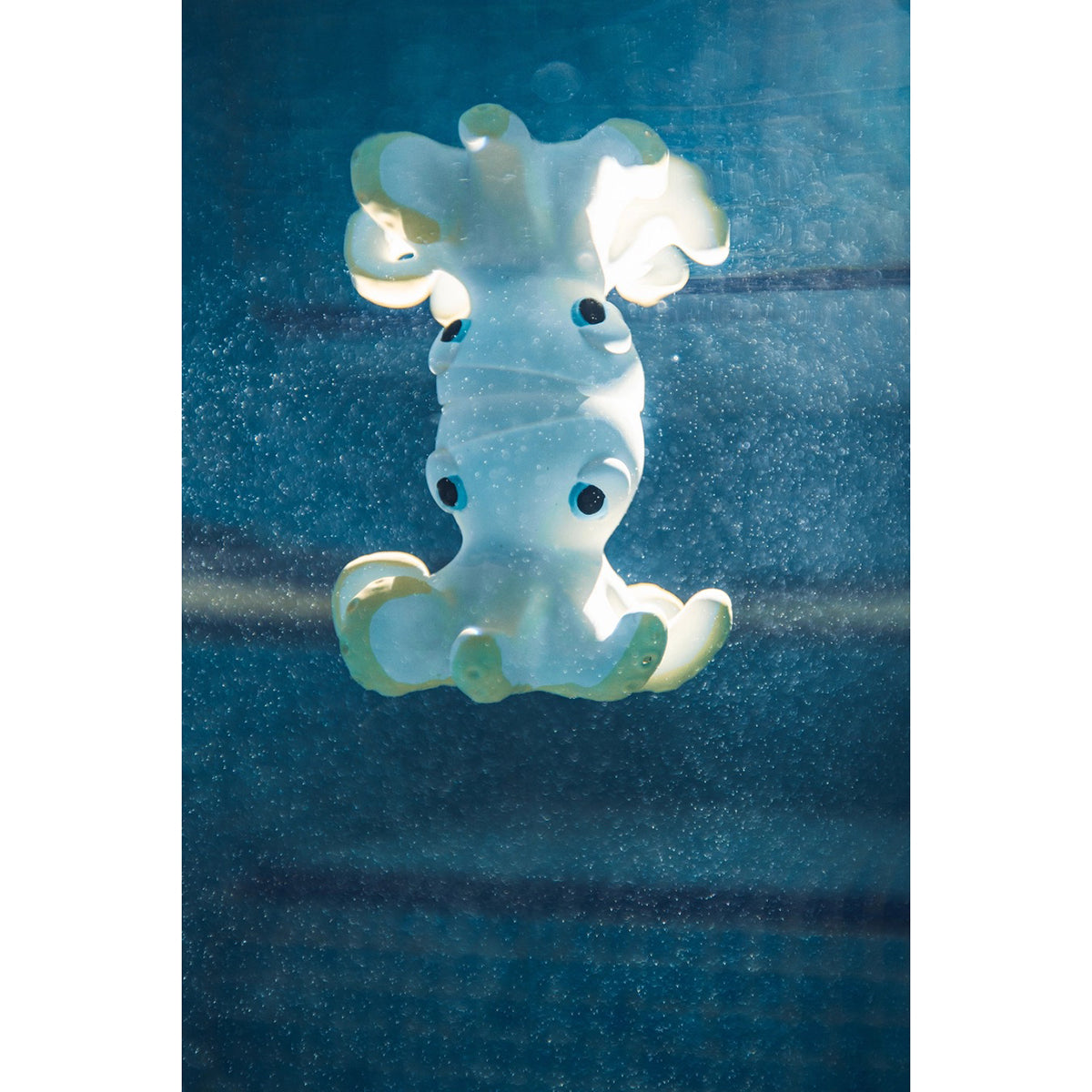 Oli&Carol Orlando The Octopus Bath Toy