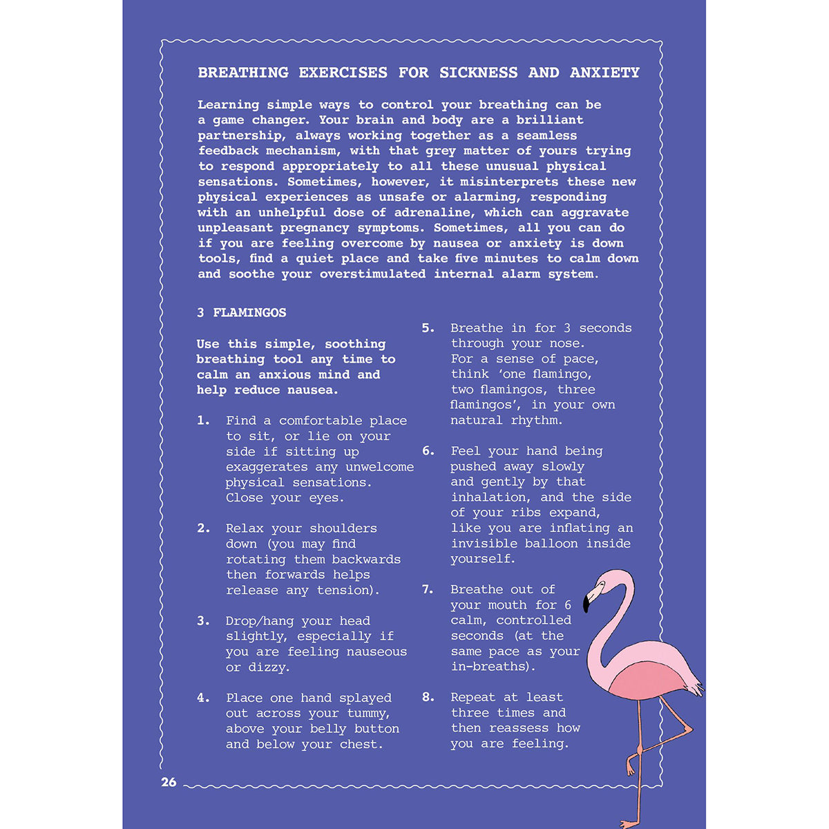 Little Book Of Self Care For Mums To Be