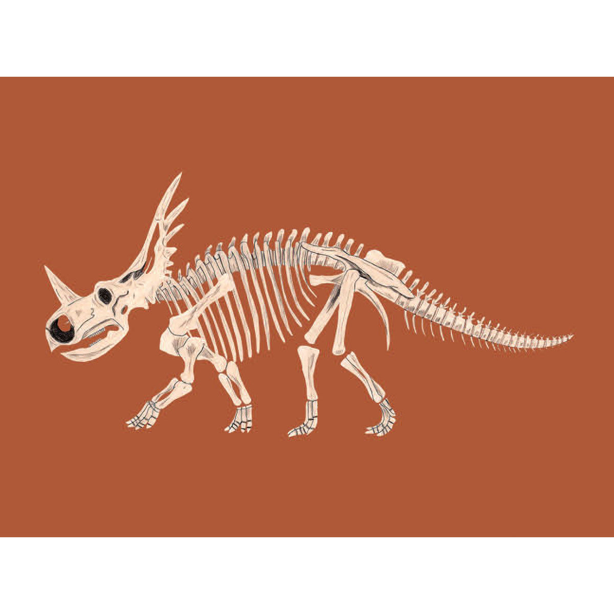 Match These Bones