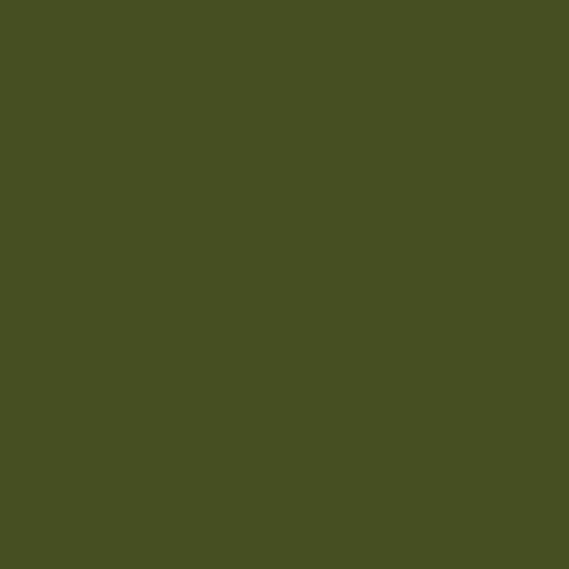 Mustard Made The Midi in Olive colour