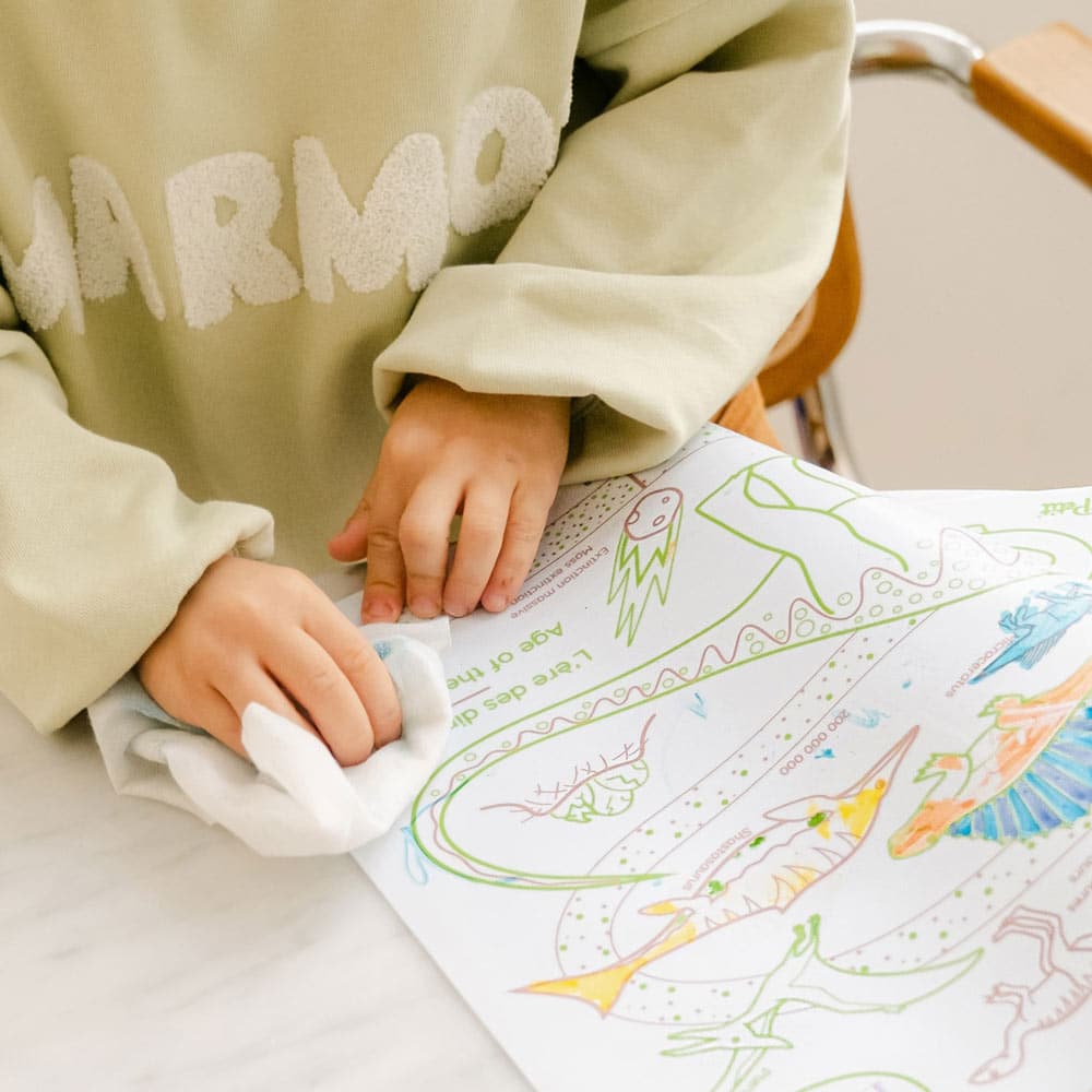 Super Petit Colouring Learn & Play - Age Of Dinosaurs for kids/children