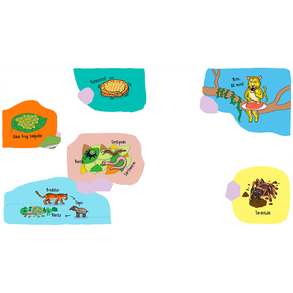 Little Explorers: In The Rainforest for kids