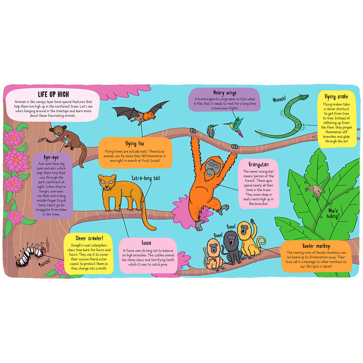 little explorers book with flaps about the rainforest for kids from bookspeed