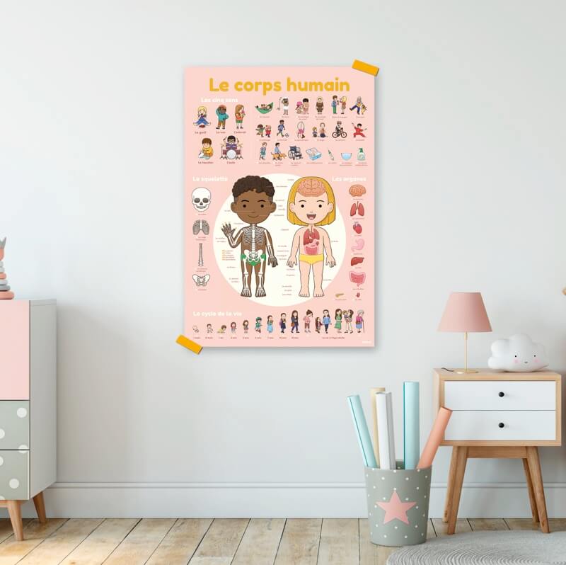 Poppik Educational Sticker Poster Human Body
