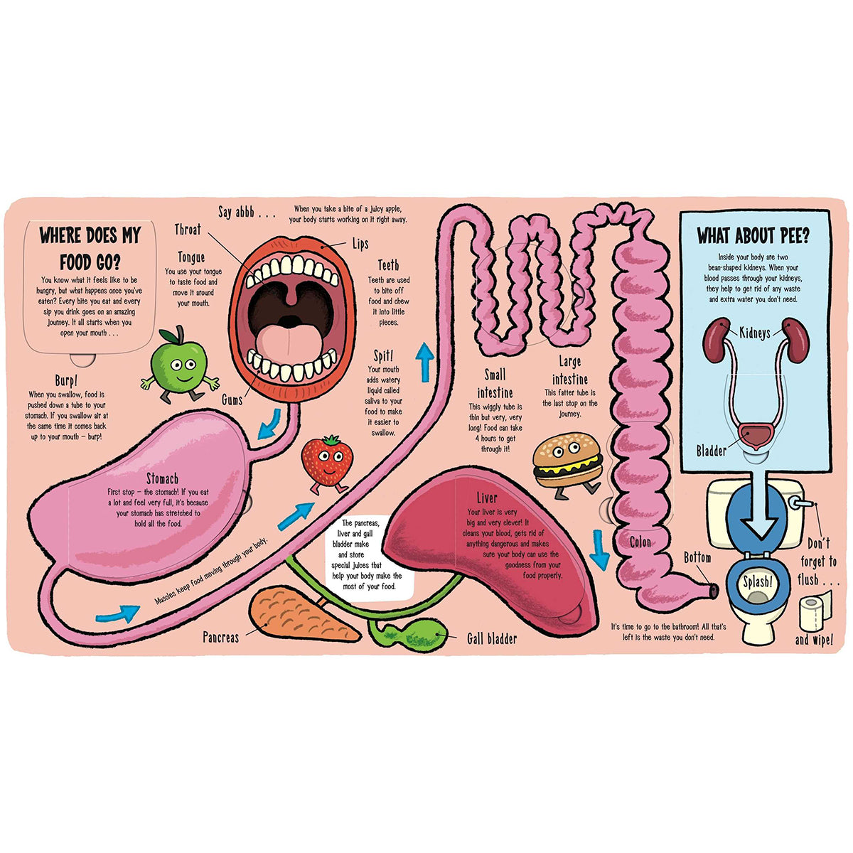 Little Explorers: My Amazing Body book for kids