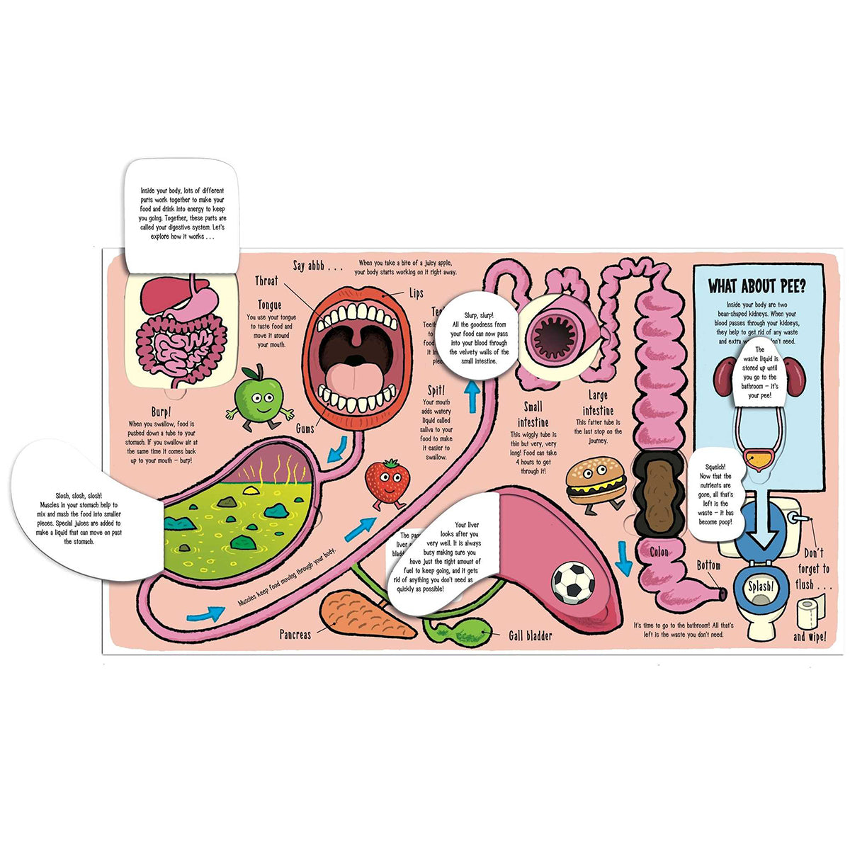Little Explorers: My Amazing Body from bookspeed for kids