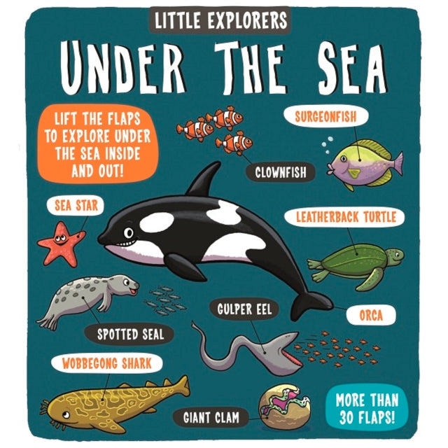 Little Explorers: Under The Sea
