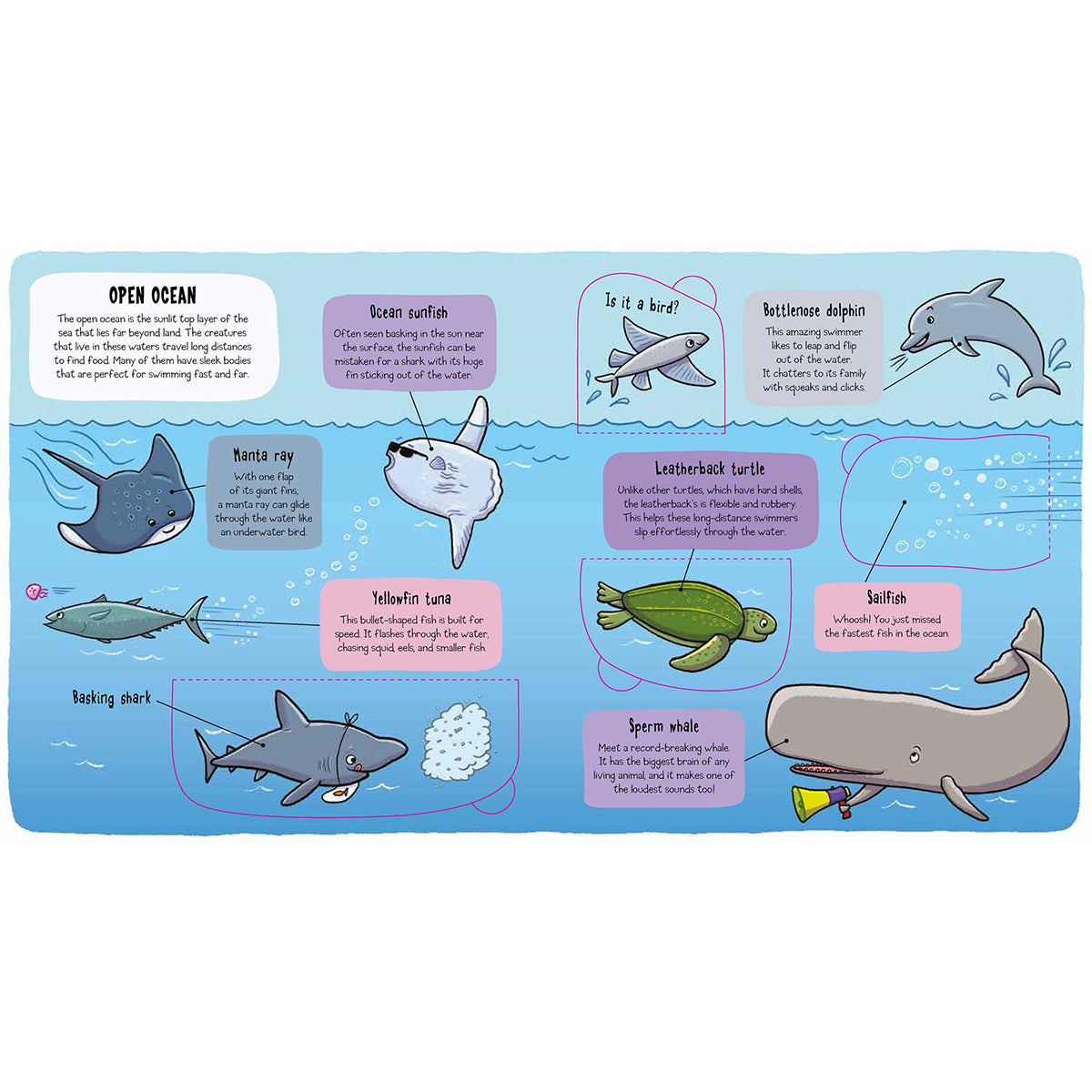 book about life under the sea for kids from bookspeed