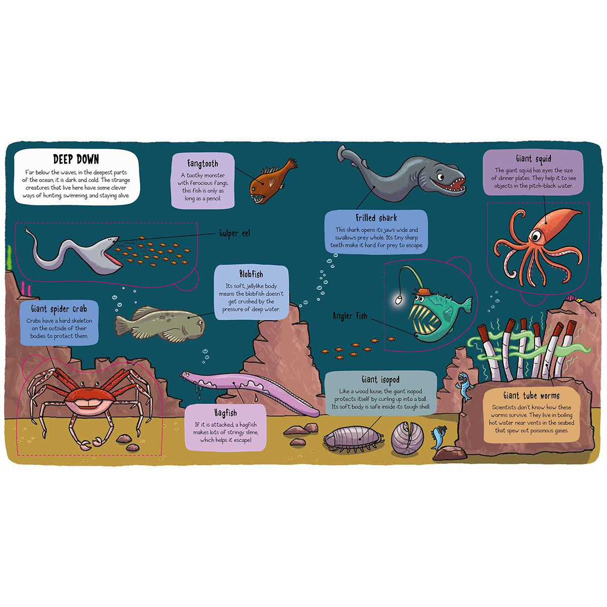 little explorer book under the sea from bookspeed for kids