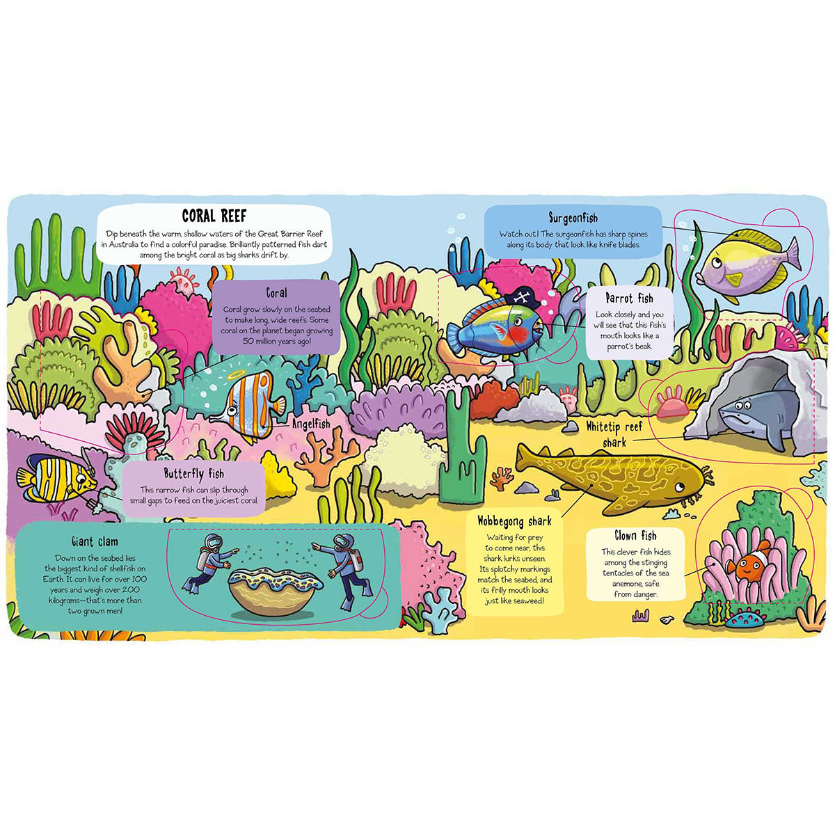 Little Explorers: Under The Sea book from bookspeed for kids