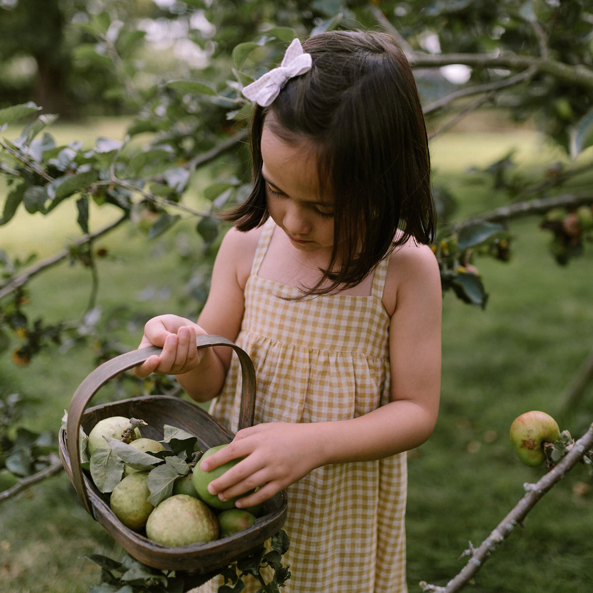 daisy chain dress with elasticated back in colour Hay Check from nellie quats for toddlers and kids