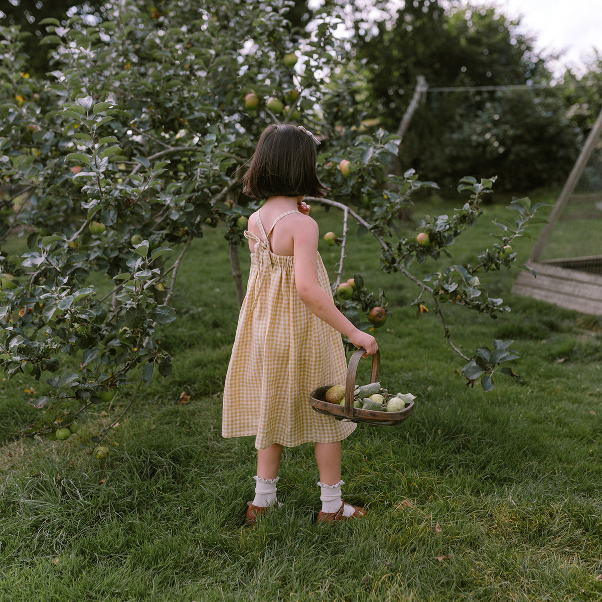 toddlers and kids dress in a check pattern with elasticated back and adjustable straps from nellie quats