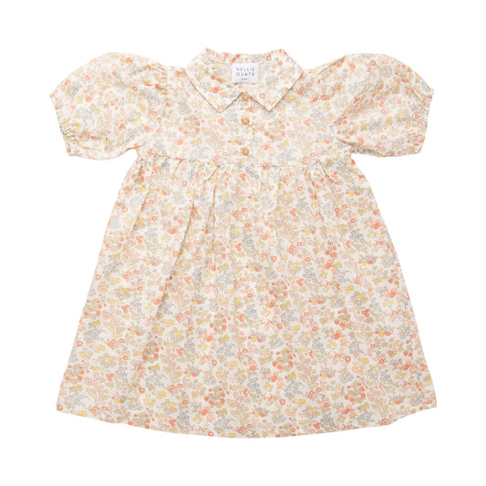 Nellie Quats Kids Duck, Duck, Goose Dress