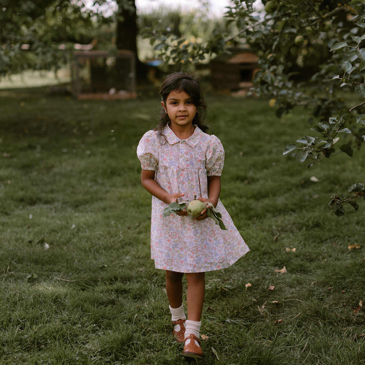 dress with puffed sleeves and elasticated cuffs for toddlers and kids from nellie quats