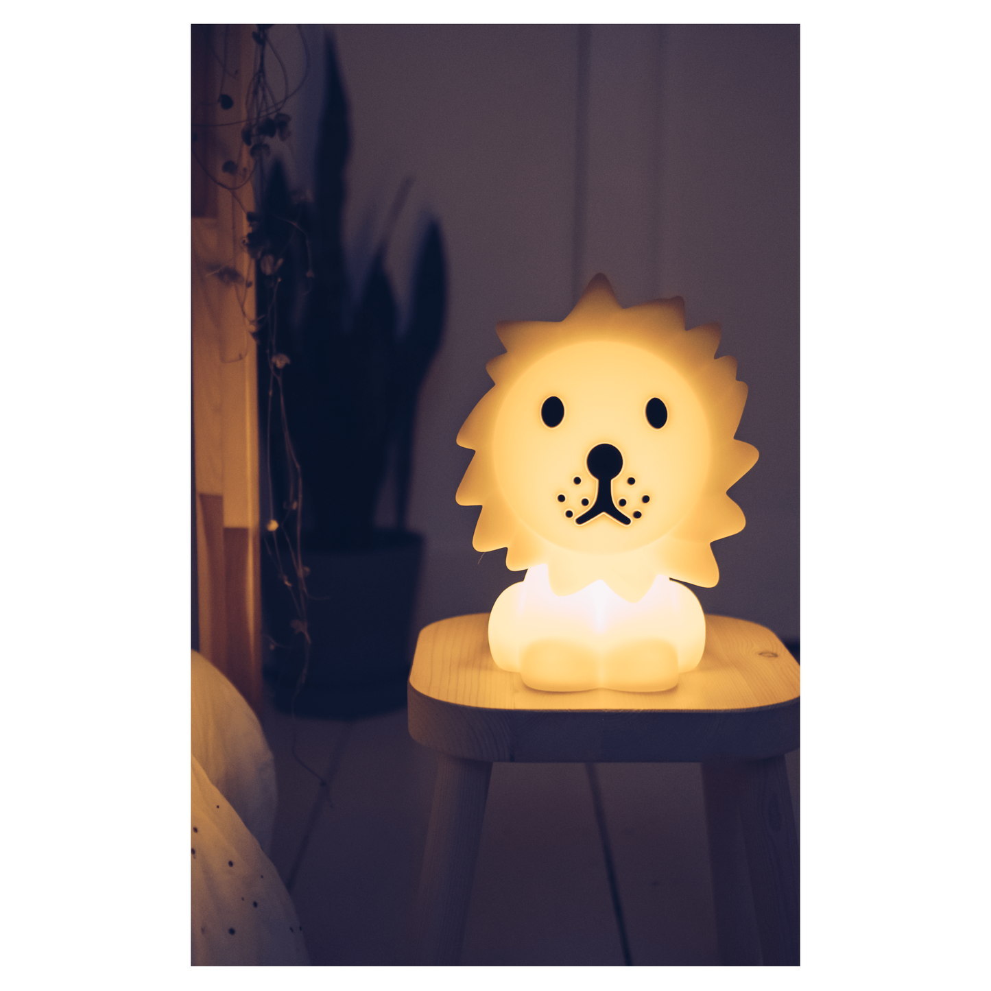 Mr.Maria Lion First Light