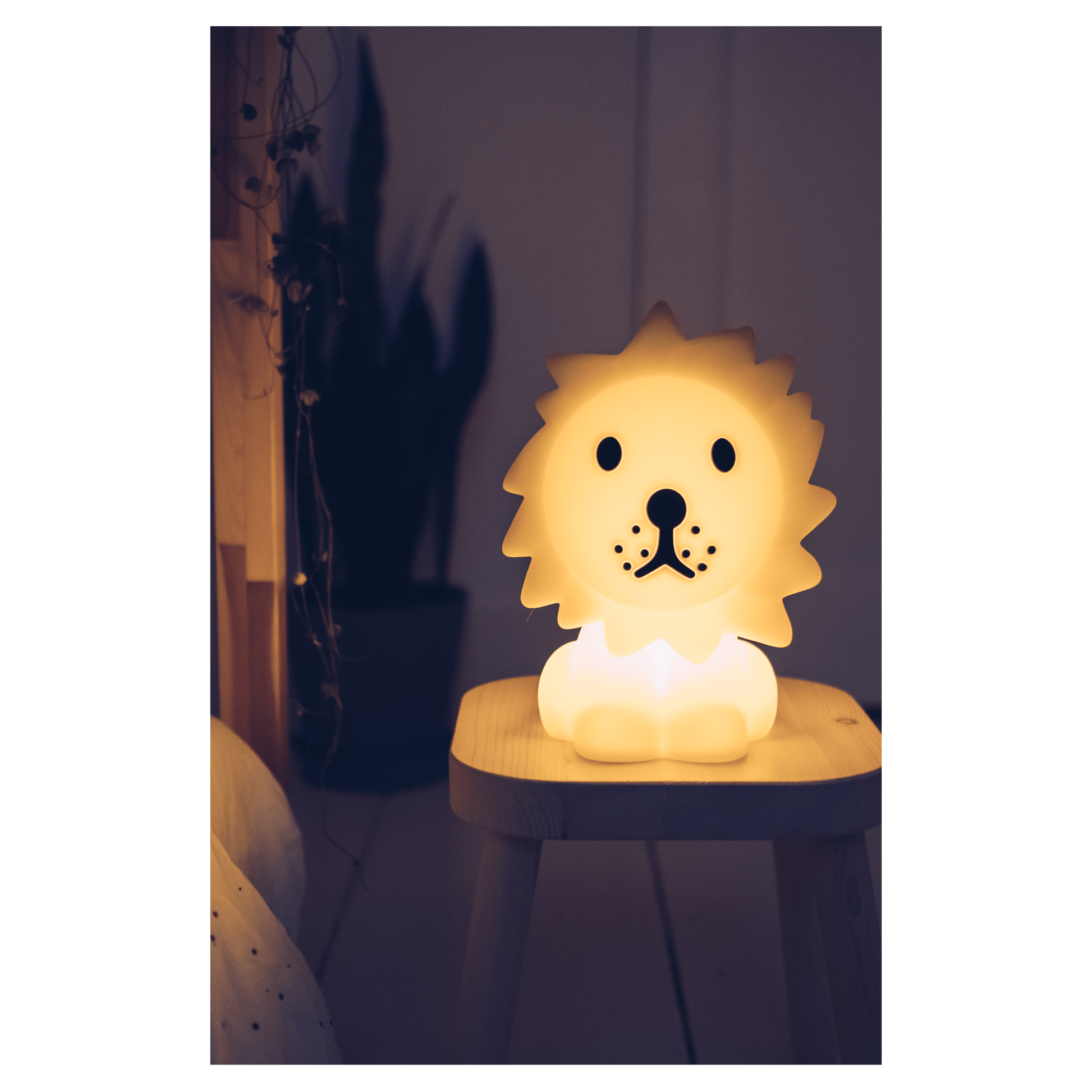 Mr.Maria Lion First Light