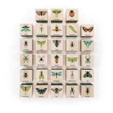 Load image into Gallery viewer, If you think bugs are ugly, take a closer look at these blocks from Uncle Goose. One side of each block reveals a detailed close up of the insect featured on its opposite side. Colourful Art Nouveau upper and lowercase letters grace the remaining four sides. Explore patterns + etymology in a block set where nature meets design.