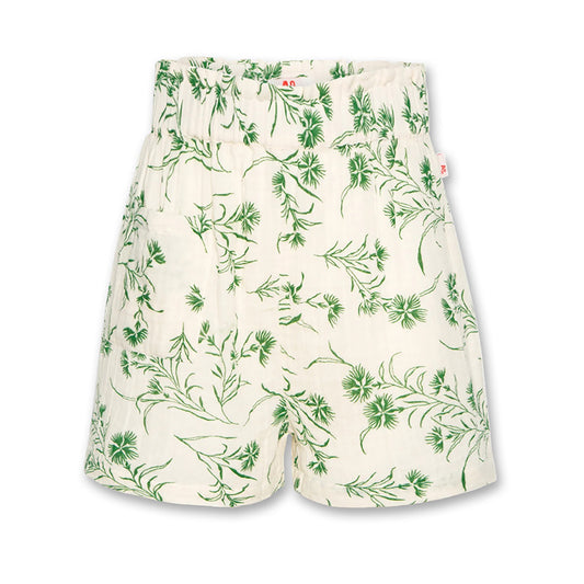 AO76 Lou Green Shorts