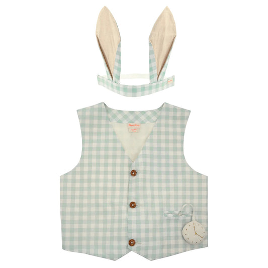 Meri Meri Gingham Bunny Costume