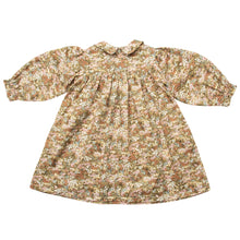 Load image into Gallery viewer, Nellie Quats Marbles Dress for kids/children
