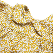 Load image into Gallery viewer, Nellie Quats Marbles Dress aw23