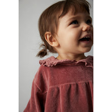 Load image into Gallery viewer, Cozmo Petra Velour Dress for babies and toddlers