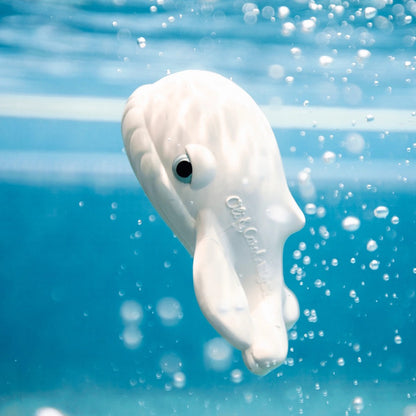 Oli&Carol Walter The Whale Bath Toy