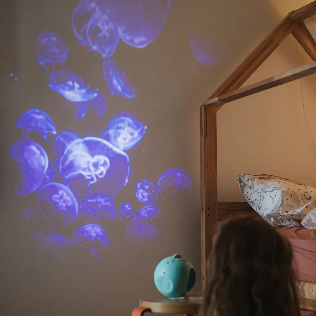 Kidywolf Planetarium Projector