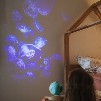 Kidywolf Planetarium Projector
