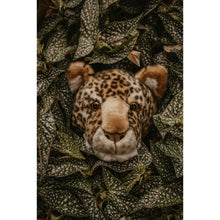 Load image into Gallery viewer, Wild &amp; Soft Charlie Leopard Head wall decor