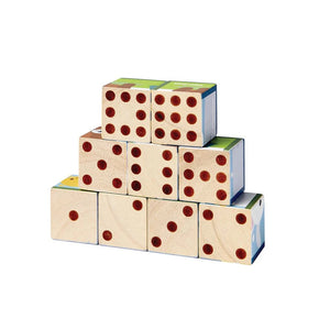 Plan Toys Puzzle Cube Game