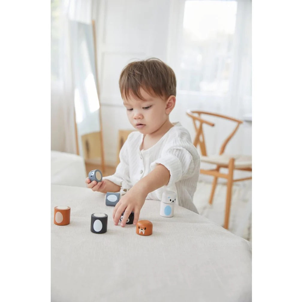 Plan Toys Animal Arctic Matching for toddlers