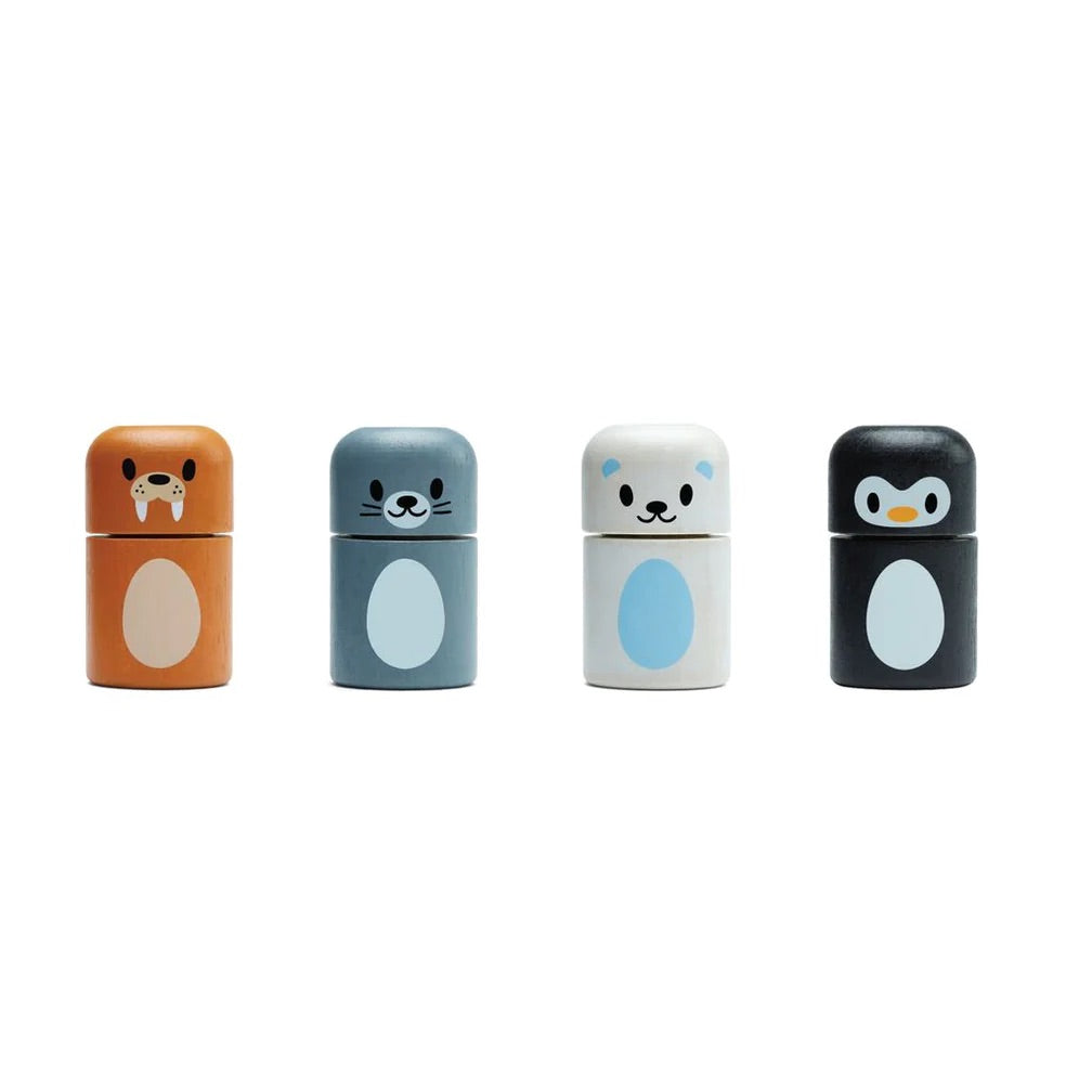 Plan Toys Animal Arctic Matching