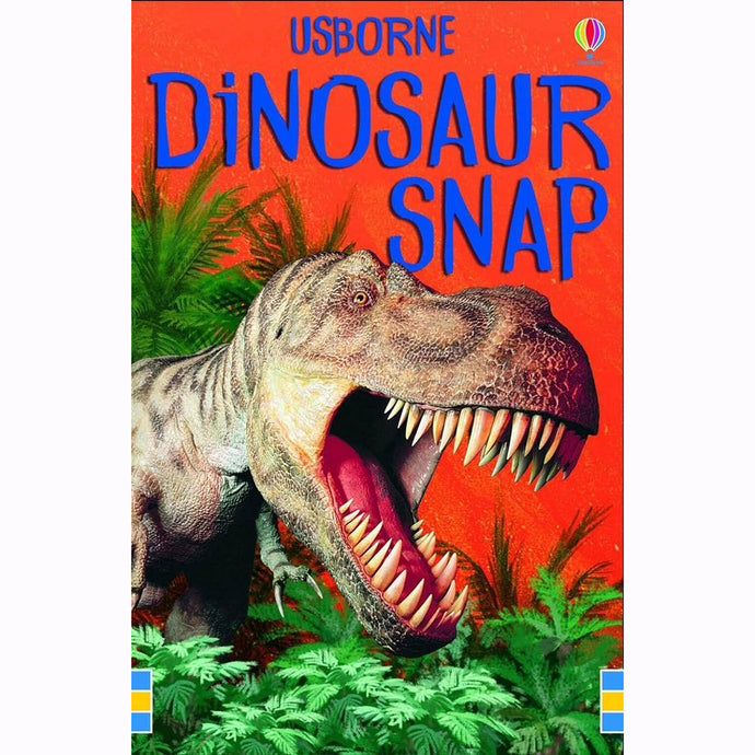 Dinosaur Snap Cards