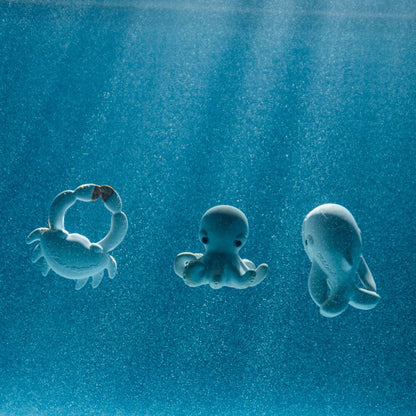 Oli&Carol Walter The Whale Bath Toy