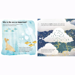 Seas: A Lift The Flap Eco Book for kids/children