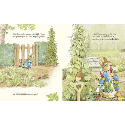 Tale Of Peter Rabbit Picture Book