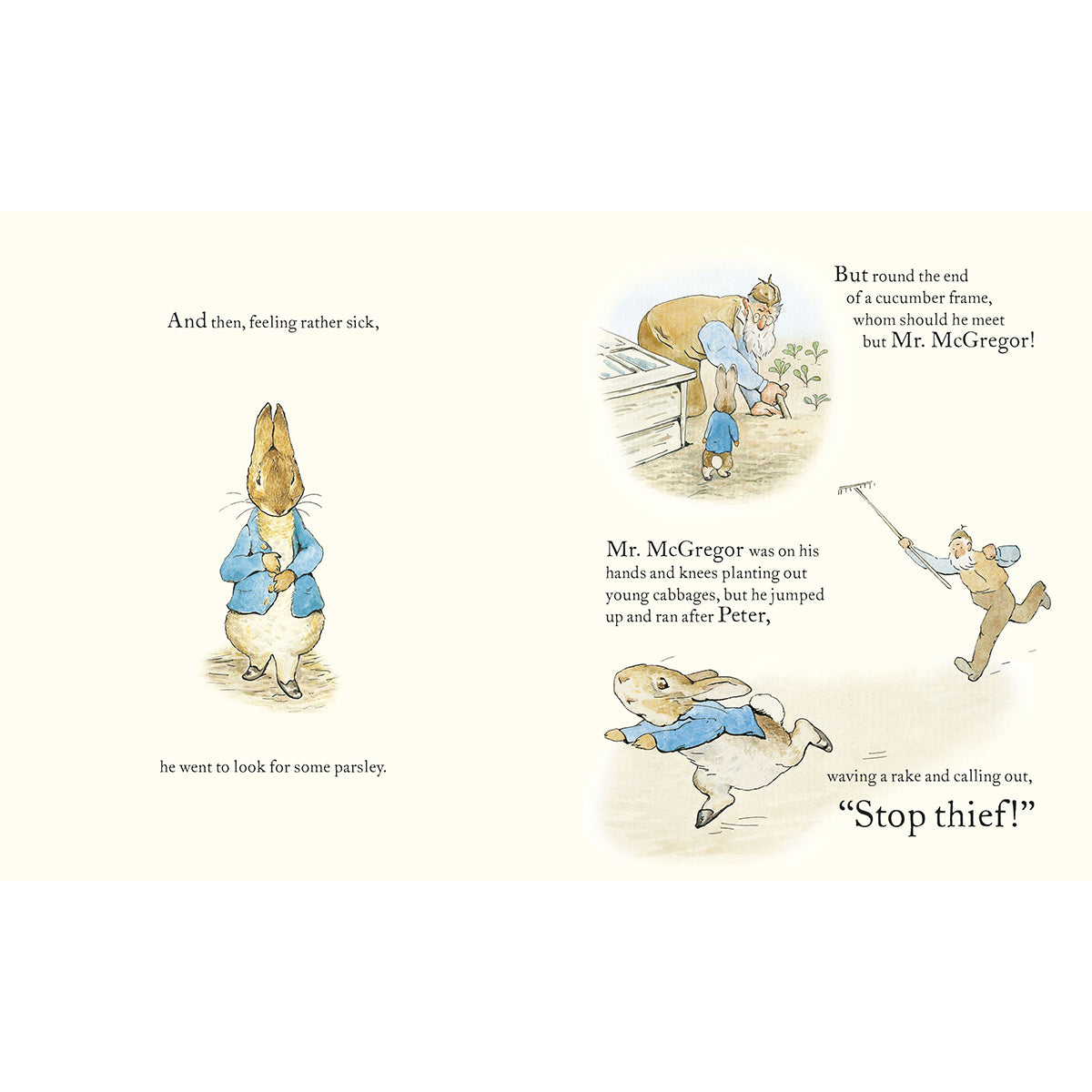 Tale Of Peter Rabbit Picture Book