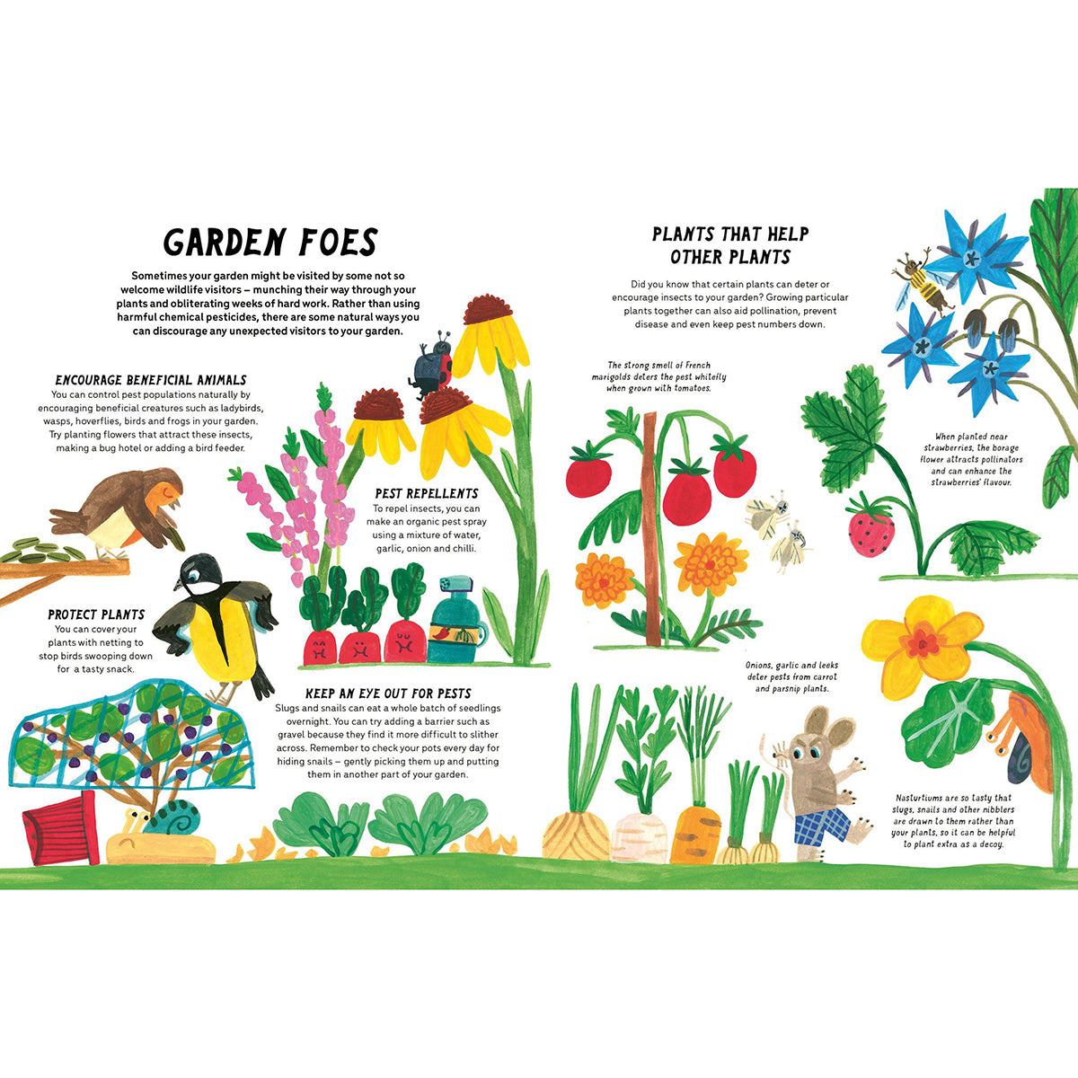 Little Gardeners Handbook