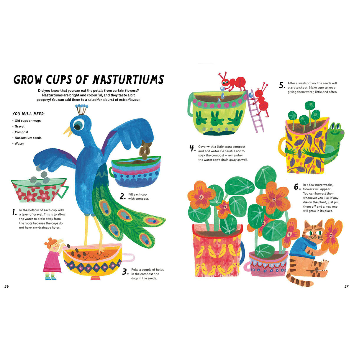 Little Gardeners Handbook