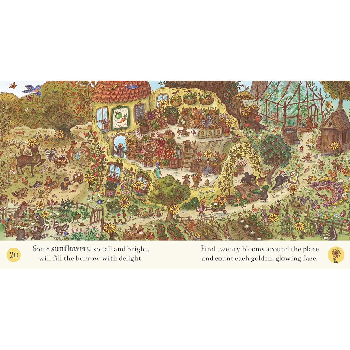 Brown Bear Wood: New Baby Bunny