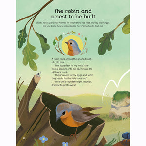 Little Stories From Nature bedtime story
