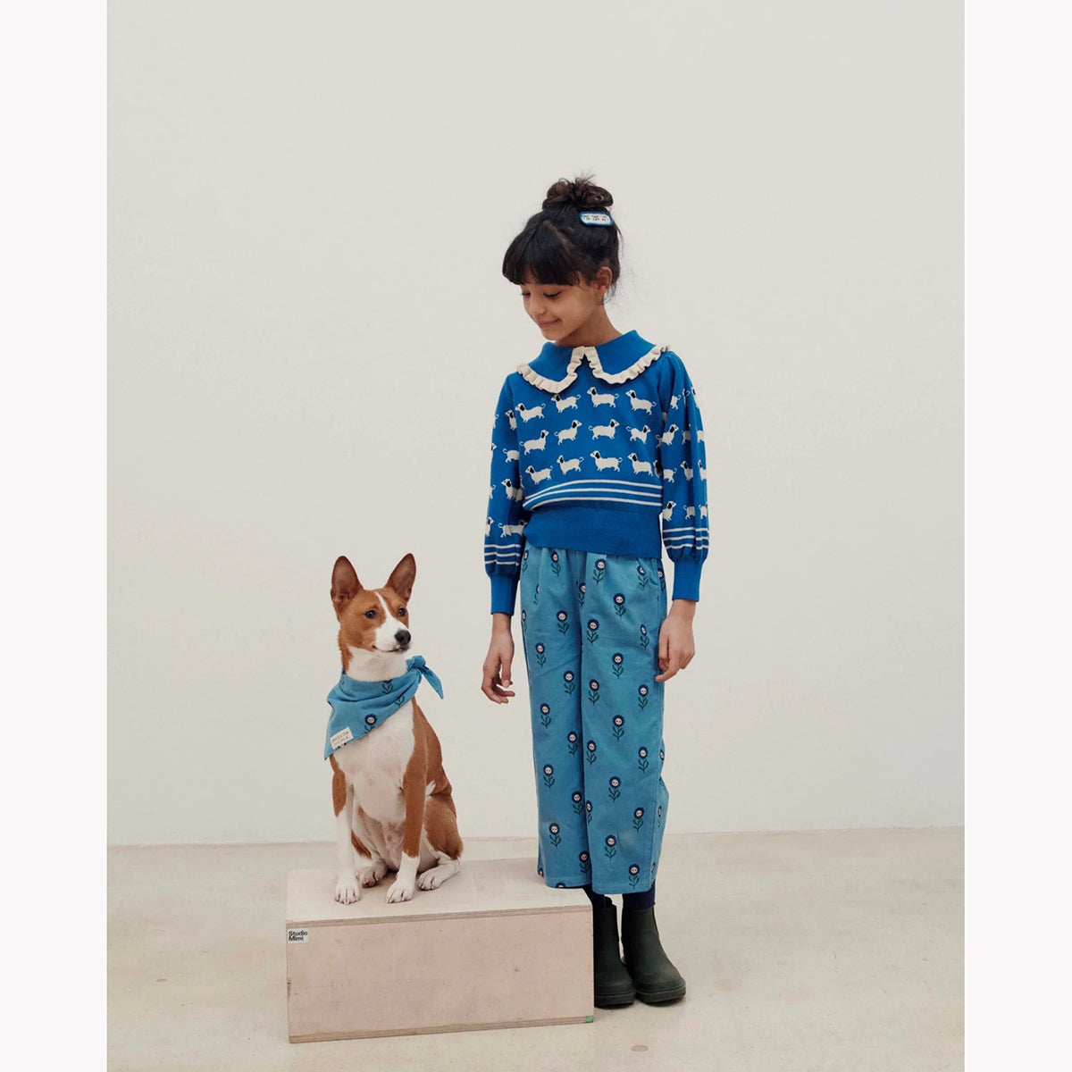 Emile Et Ida Dog Pullover