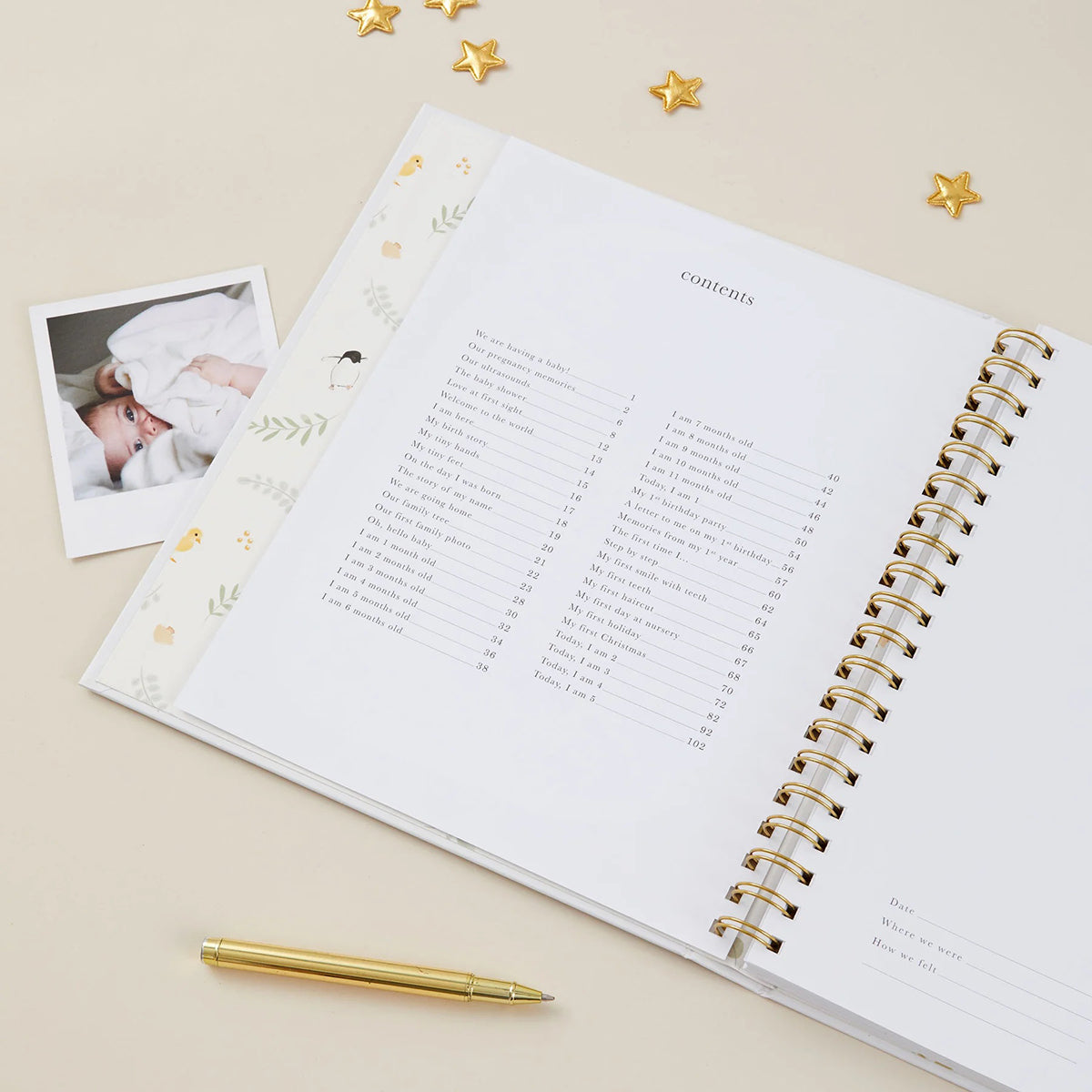 Blush and Gold My Baby Book - Baby Memory Book